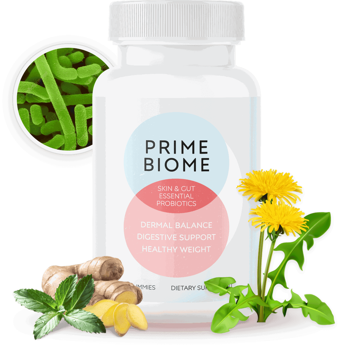 PrimeBiome